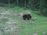 124 - Banff,Lake Louise,Morraine Lake  - IMGA0094
